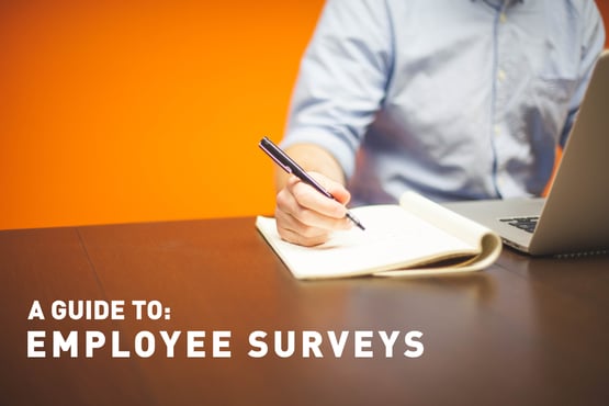Guide_to_Employee_Surveys.jpg