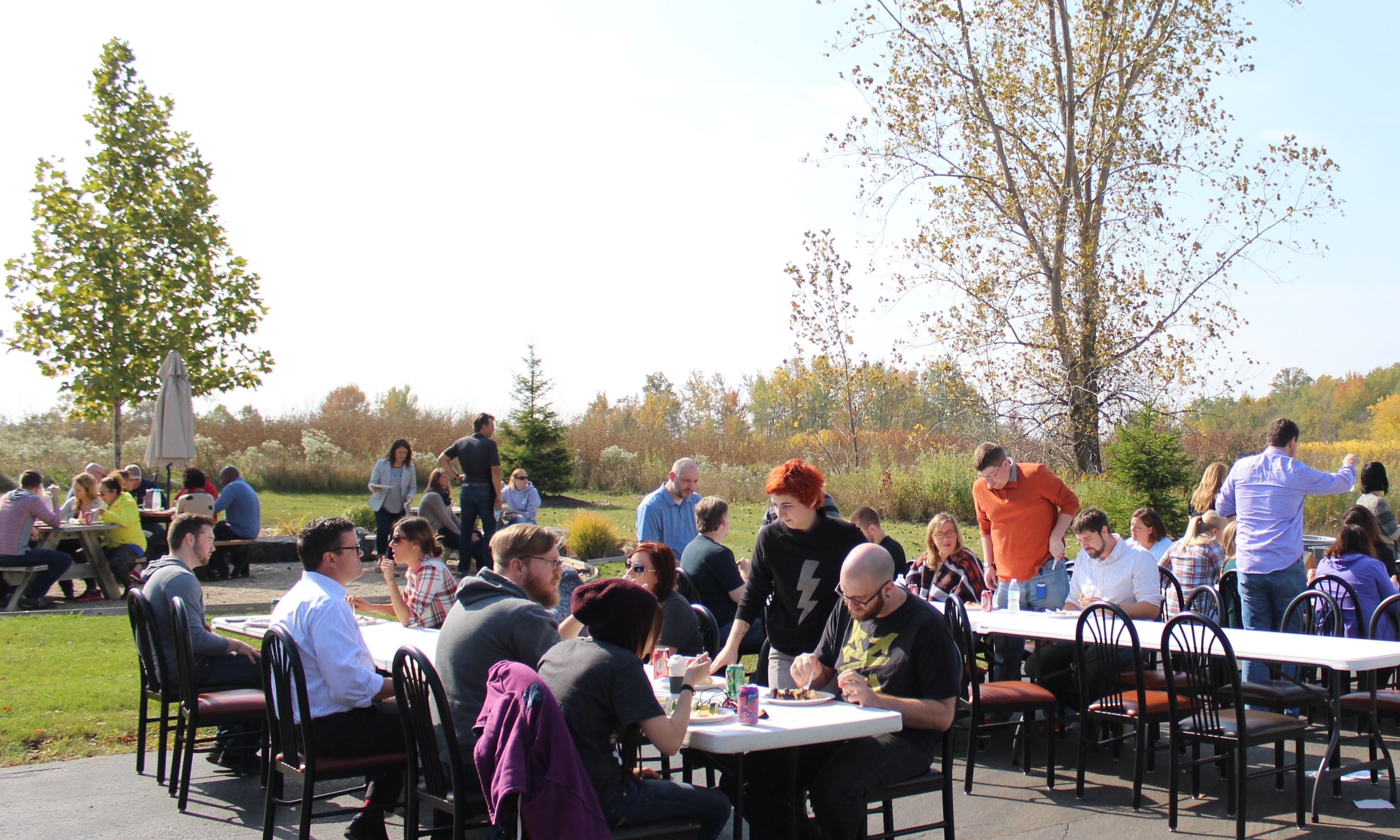 IMG_7972.jpg?t=1474296856150&width=555&h